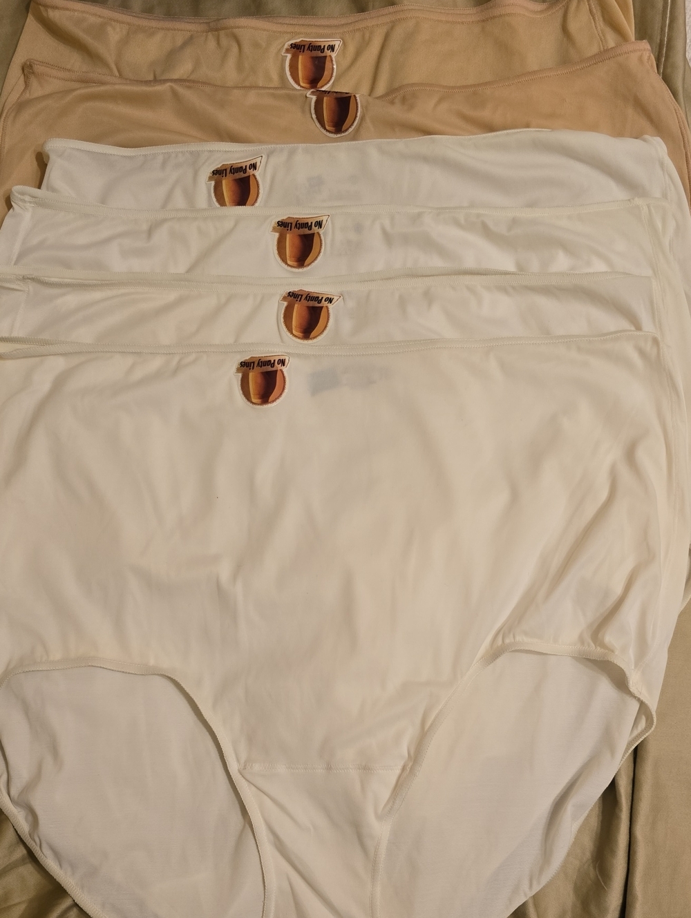 Hanes Women’s Briefs Pack in White and Nude